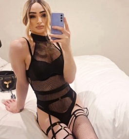 Fayeshelle